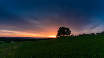 Image 2 for Relax Window - Calm and M…