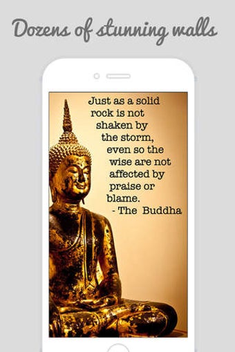 Imagen 0 para Inspirational Buddha Quot…