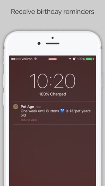 Image 3 for Pet Age & Birthday Tracke…