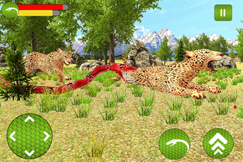 Image 1 for Wild Anaconda Snake Fores…