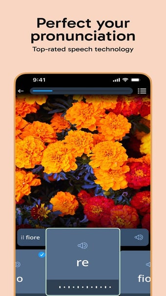 Imagen 0 para Rosetta Stone Sapphire
