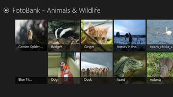 Imagen 0 para Fotobank for Windows 8