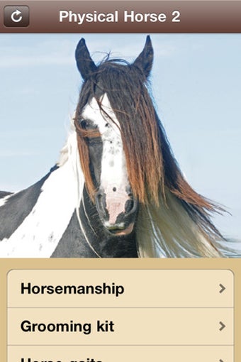 Image 0 for Physical Horse 2 - Equest…