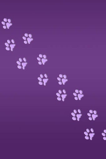 Imagen 0 para Unlimited Cats Wallpapers