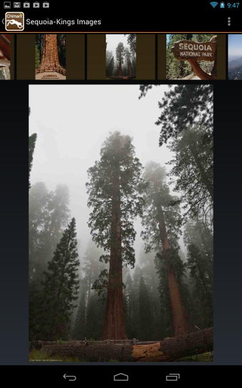 Image 3 for Chimani Sequoia & Kings C…