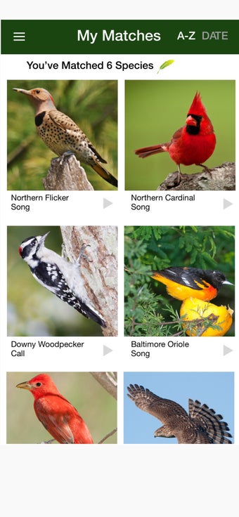 Image 2 for BirdGenie