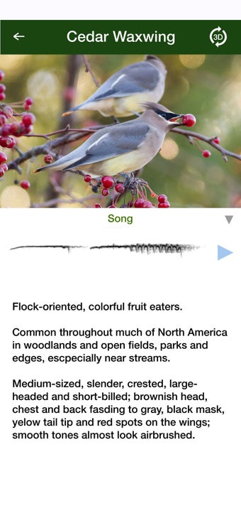 Image 1 for BirdGenie