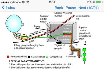 Imagen 0 para Anatomy Lectures Topics i…