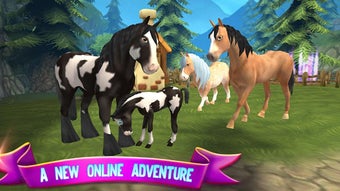 Image 2 for Horse Paradise - My Dream…
