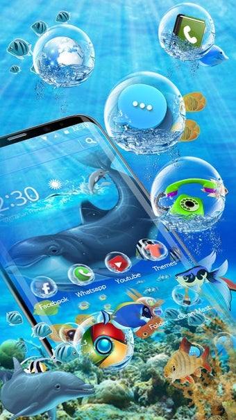 Imagen 1 para Blue Dolphin
