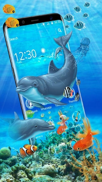 Imagen 2 para Blue Dolphin