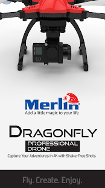 Imagen 1 para Merlin Dragonfly