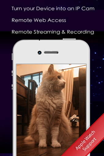 Image 3 for IP Cam