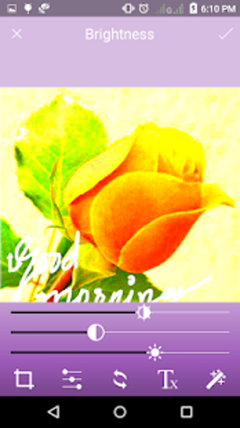 Image 1 for X-Ray Photo Editor