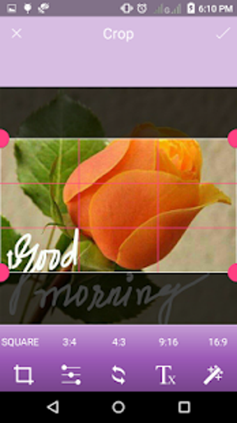 Imagen 2 para X-Ray Photo Editor