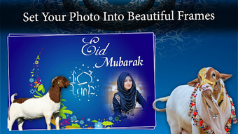 Image 1 for Bakra Eid - Eid Ul Adha P…