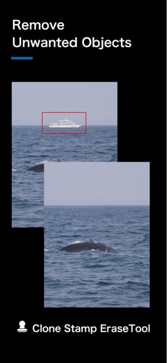 Image 1 for Video Mosaic - Blemish Re…