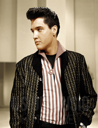Image 1 for Elvis Presley - Best Offl…