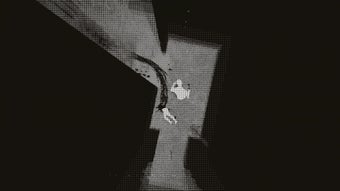 Image 0 for Hellkind