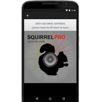 Image 2 for Squirrel Call-Squirrel Hu…