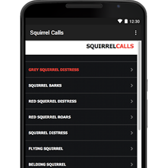 Image 1 for Squirrel Call-Squirrel Hu…