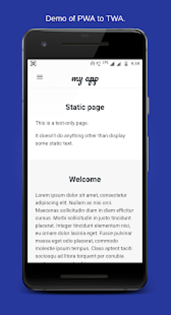 Image 0 for TWA Demo (Trusted Web Act…