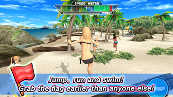 Image 0 for Beach Flags