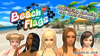 Image 1 for Beach Flags