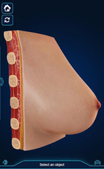 Image 3 for Breast Anatomy Pro.