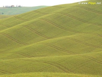 Image 0 for Italy - Colours and Moods