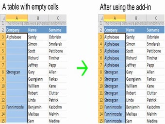 Image 0 for Fill Blank Cells for Micr…