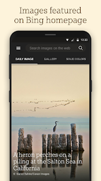 Image 2 for Bing Wallpapers