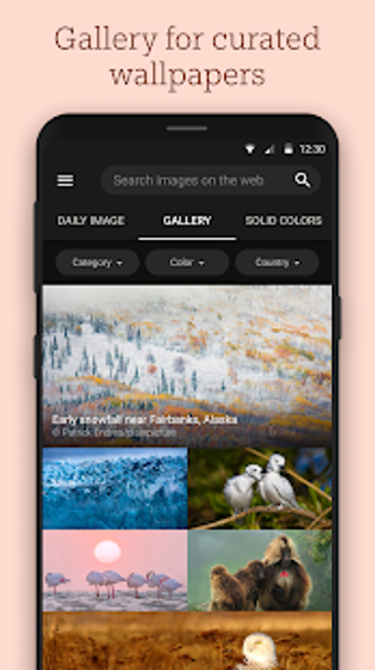 Imagen 3 para Bing Wallpapers