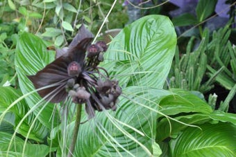 Image 2 for Happy 2013