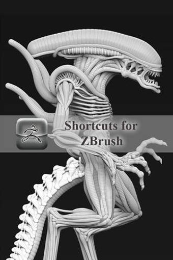 Image 0 for Shortcuts for Zbrush