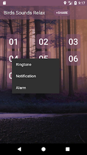 Image 1 for Birds Sounds Relax and Ri…