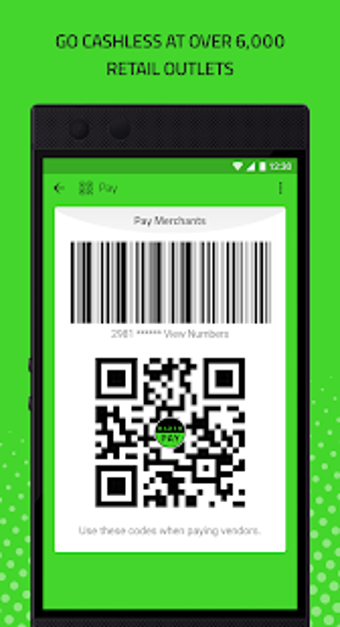 Image 3 for Razer Pay