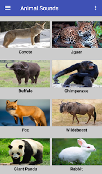 Image 0 for Animal Sounds for Kids fr…