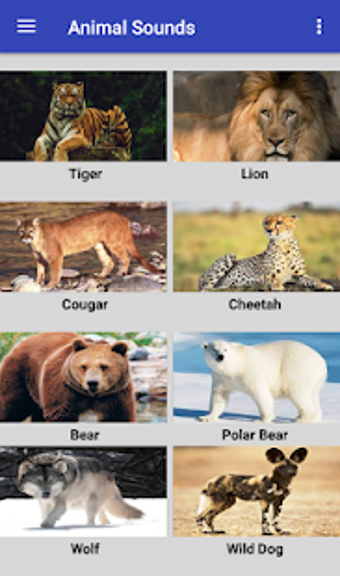 Image 3 for Animal Sounds for Kids fr…