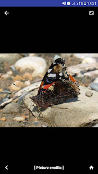 Image 0 for Nature Free - Europe