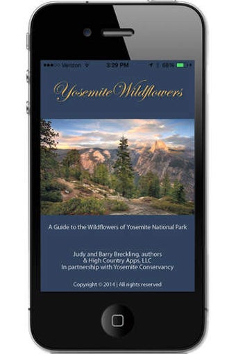 Image 0 for Yosemite Wildflowers
