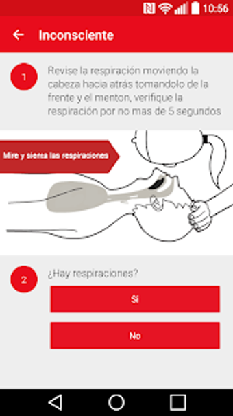 Image 3 for Primeros Auxilios - Cruz …