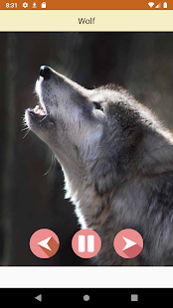 Image 0 for Animal Sounds 3D