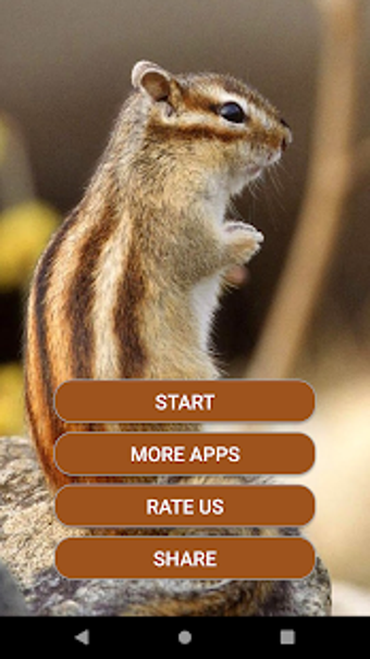 Image 3 for Animal Sounds 3D