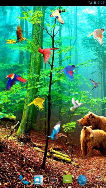 Image 1 for Forest Birds Live Wallpap…