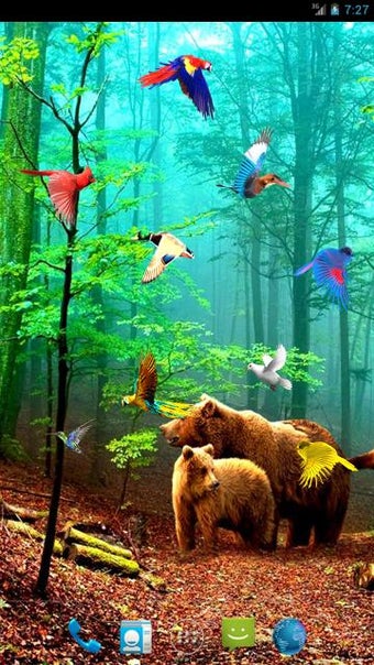 Image 0 for Forest Birds Live Wallpap…