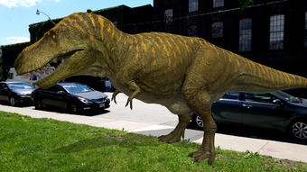 Image 0 for Dino Dan - Dino Cam