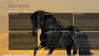 Image 0 for Black Beauty by Anna Sewe…