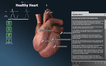 Image 1 for bodyxq heart