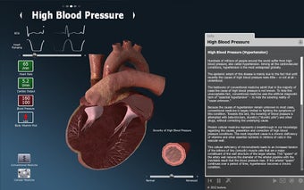 Image 2 for bodyxq heart